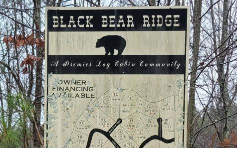 24 Ridge Top Drive Ellijay GA 30536