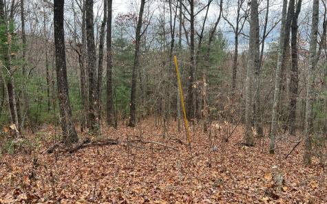 Tbd Tanglewood Road Murphy NC 28906