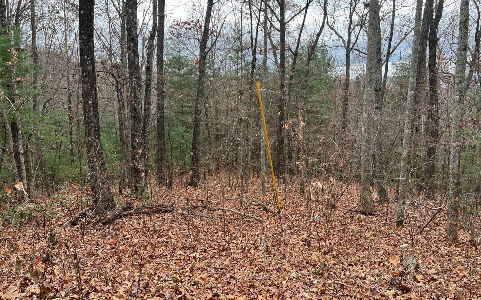 Tbd Tanglewood Road Murphy NC 28906