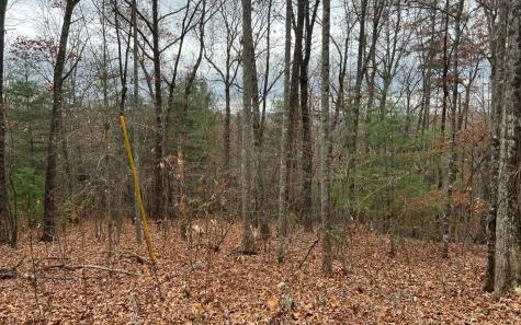 Tbd Tanglewood Road Murphy NC 28906