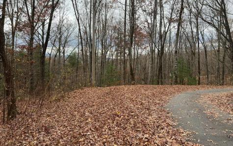 Tbd Tanglewood Road Murphy NC 28906