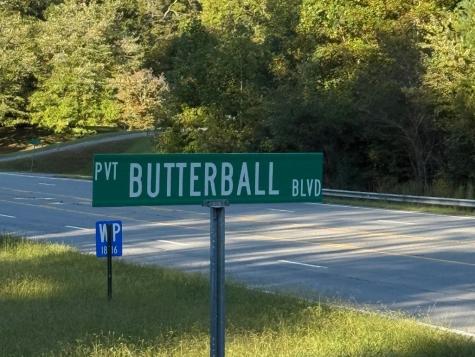 Lot 26 Butterball Boulevard Murphy NC 28906