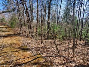 0 Trails End Summit Ellijay GA 30540