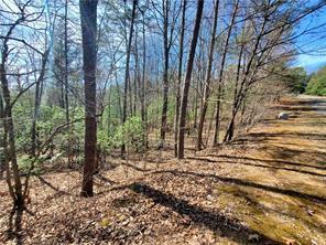 0 Trails End Summit Ellijay GA 30540