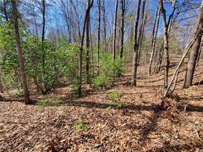 0 Trails End Summit Ellijay GA 30540