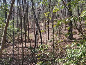 0 Trails End Summit Ellijay GA 30540