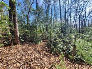 0 Trails End Summit Ellijay GA 30540