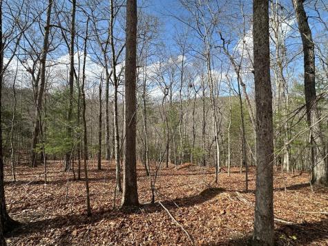 Lot 19 Black Oak Road Blue Ridge GA 20513