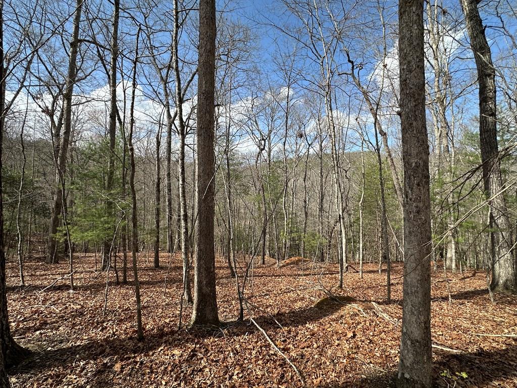 Lot 19 Black Oak Road Blue Ridge GA 20513