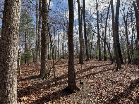 Lot 19 Black Oak Road Blue Ridge GA 20513