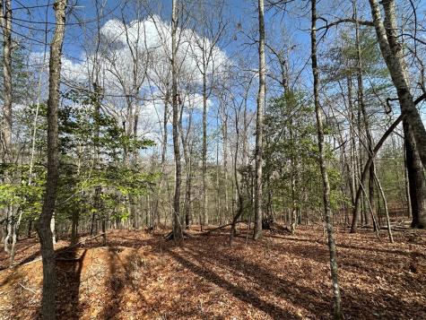 Lot 19 Black Oak Road Blue Ridge GA 20513