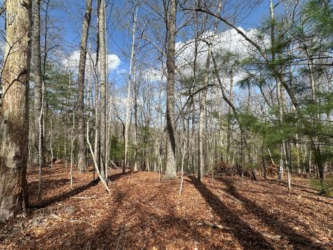 Lot 19 Black Oak Road Blue Ridge GA 20513