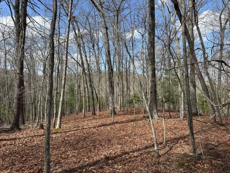 Lot 19 Black Oak Road Blue Ridge GA 20513