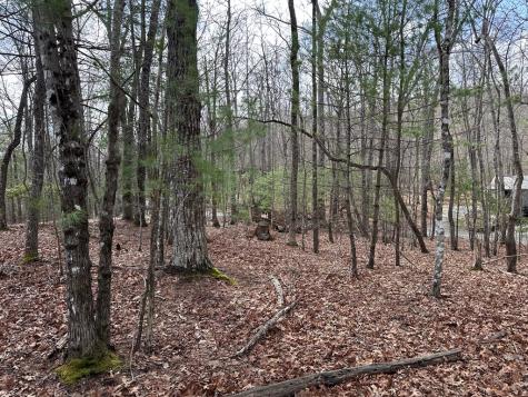 Lot 19 Black Oak Road Blue Ridge GA 20513