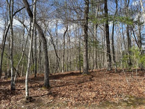 Lot 19 Black Oak Road Blue Ridge GA 20513