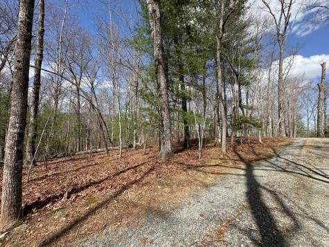 Lot 19 Black Oak Road Blue Ridge GA 20513