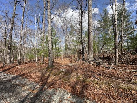 Lot 19 Black Oak Road Blue Ridge GA 20513