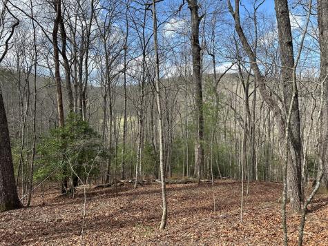 Lot 19 Black Oak Road Blue Ridge GA 20513