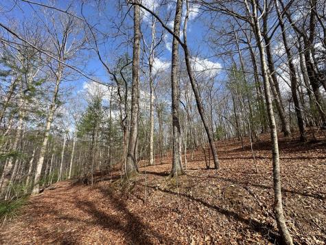 Lot 19 Black Oak Road Blue Ridge GA 20513