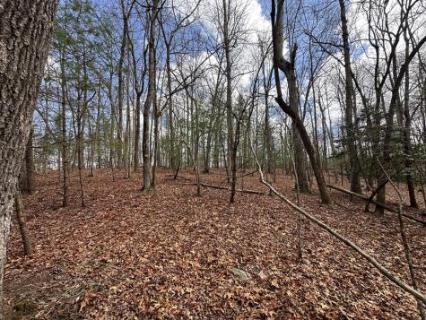 Lot 19 Black Oak Road Blue Ridge GA 20513