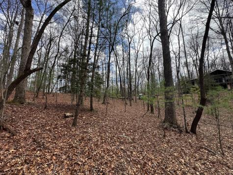 Lot 19 Black Oak Road Blue Ridge GA 20513