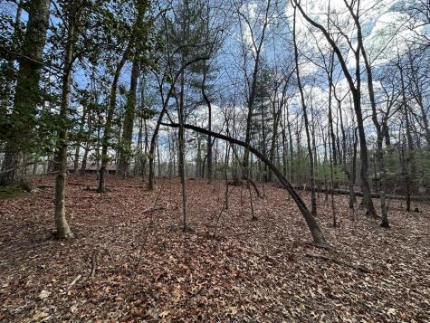 Lot 19 Black Oak Road Blue Ridge GA 20513