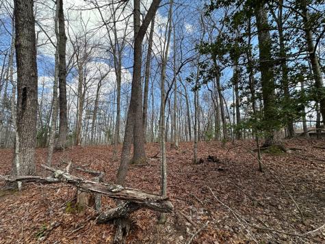 Lot 19 Black Oak Road Blue Ridge GA 20513