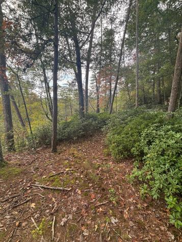 00 Beaver Ridge Road Murphy NC 28906