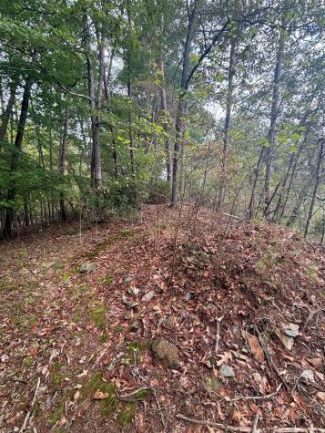 00 Beaver Ridge Road Murphy NC 28906