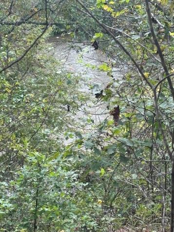 00 Beaver Ridge Road Murphy NC 28906