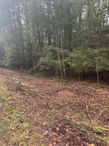 00 Beaver Ridge Road Murphy NC 28906