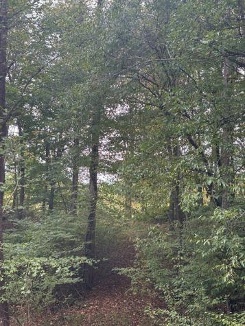 00 Beaver Ridge Road Murphy NC 28906