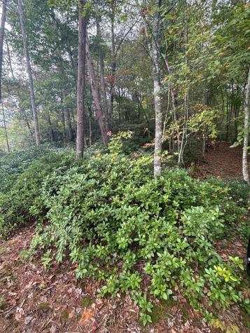 00 Beaver Ridge Road Murphy NC 28906