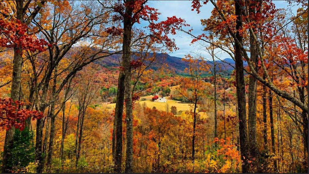 20 Fly Cast Overlook Hayesville NC 28904