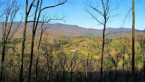 20 Fly Cast Overlook Hayesville NC 28904