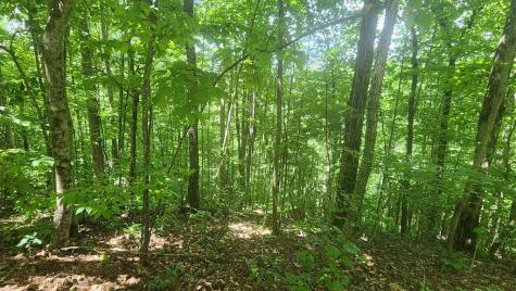 Lot 15 Roaring Ridge Hiawassee GA 30546