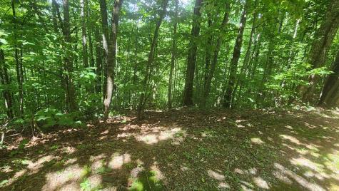 Lot 15 Roaring Ridge Hiawassee GA 30546