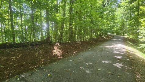 Lot 15 Roaring Ridge Hiawassee GA 30546