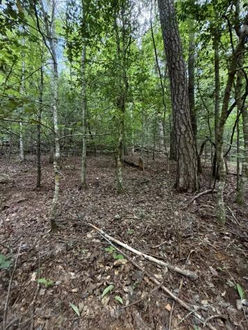 5.85 Ac Emory Shield Road Murphy NC 28906