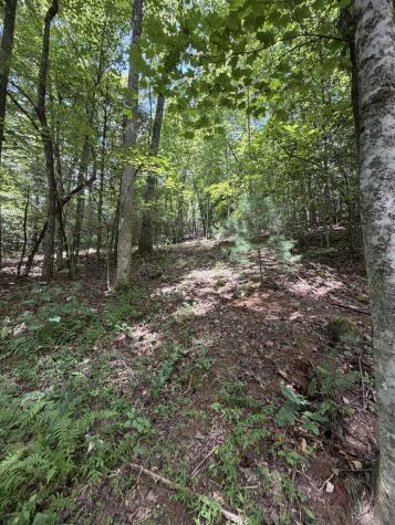 5.85 Ac Emory Shield Road Murphy NC 28906