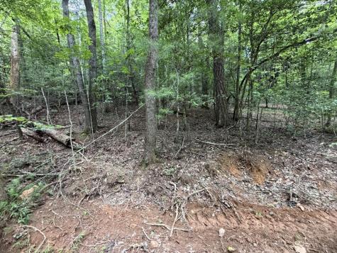 5.85 Ac Emory Shield Road Murphy NC 28906