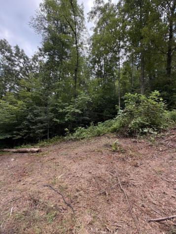 5.85 Ac Emory Shield Road Murphy NC 28906