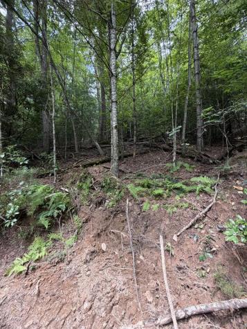 5.85 Ac Emory Shield Road Murphy NC 28906