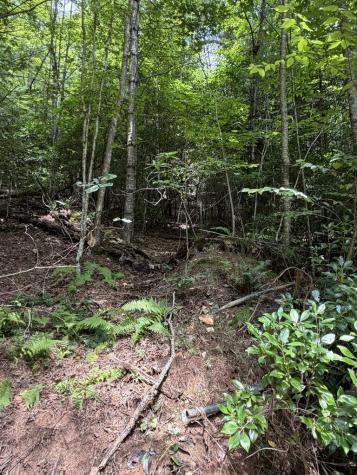 5.85 Ac Emory Shield Road Murphy NC 28906
