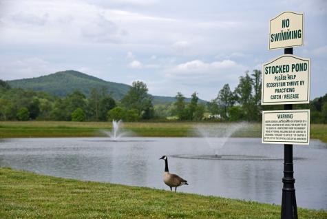 Lot 268 Mountain Vista Road Blairsville GA 30512