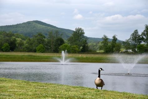 Lot 268 Mountain Vista Road Blairsville GA 30512