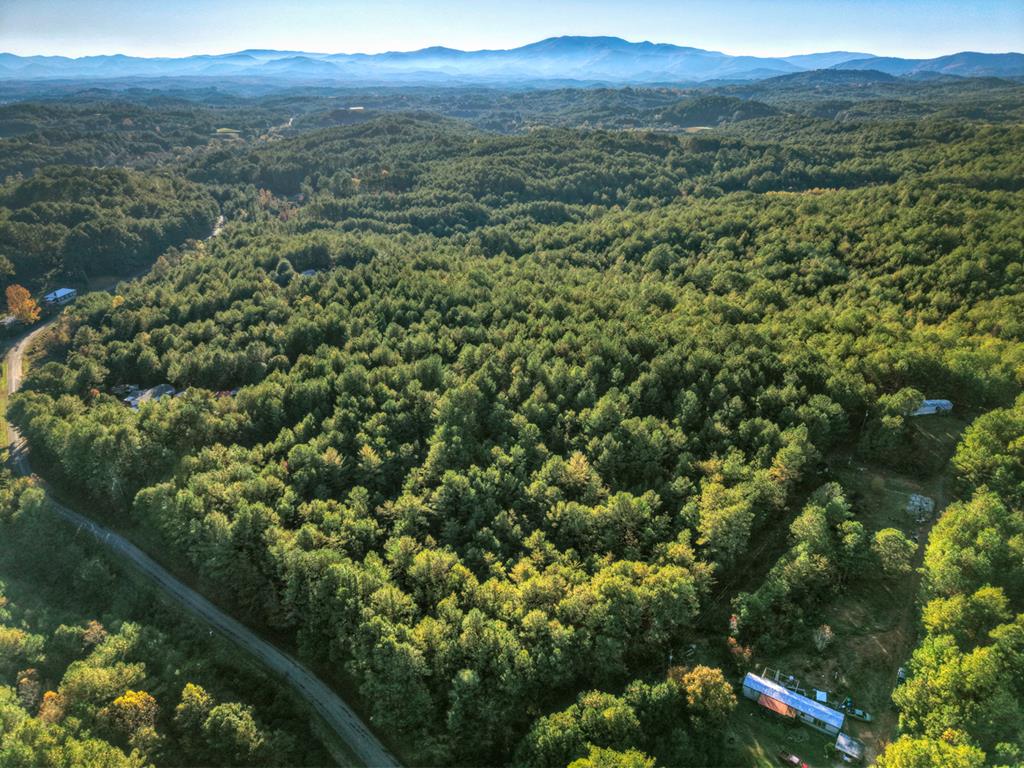 0 Stansbury Mountain Road Copperhill TN 37317