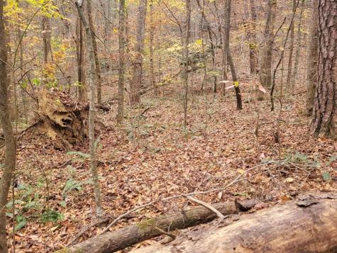 0 Old Chopped Oak Road Ellijay GA 30540