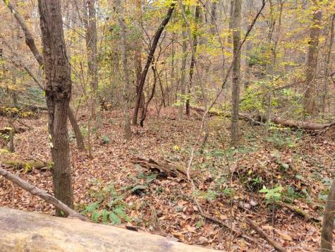 0 Old Chopped Oak Road Ellijay GA 30540