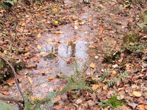 0 Old Chopped Oak Road Ellijay GA 30540